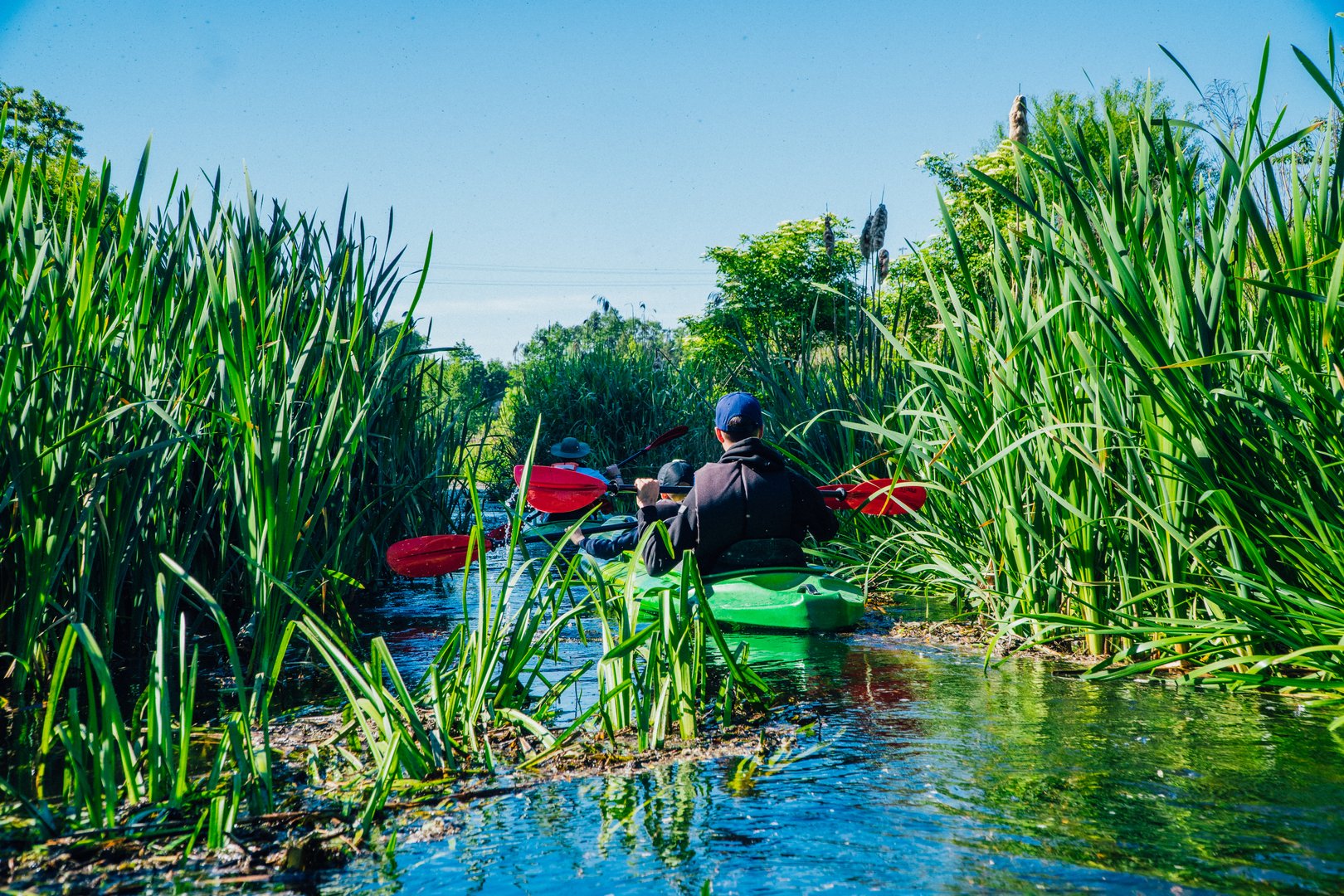 Spływ kajakami na rzece w lecie Atrakcje w okolicy